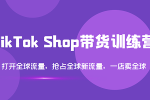 （3342期）TikTok Shop带货训练营，打开全球流量，抢占全球新流量 一店卖全球(第14期)